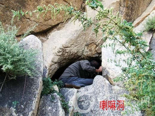点击查看原图
